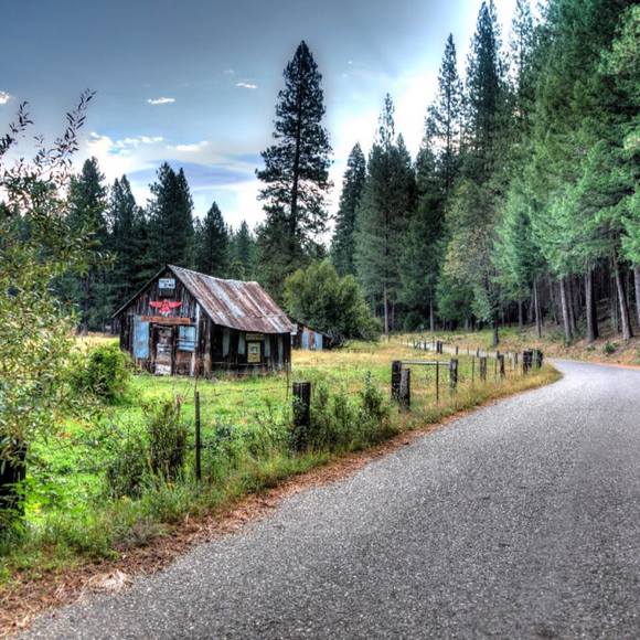 Meet your Posher, Dolly - Picture 1 of 1